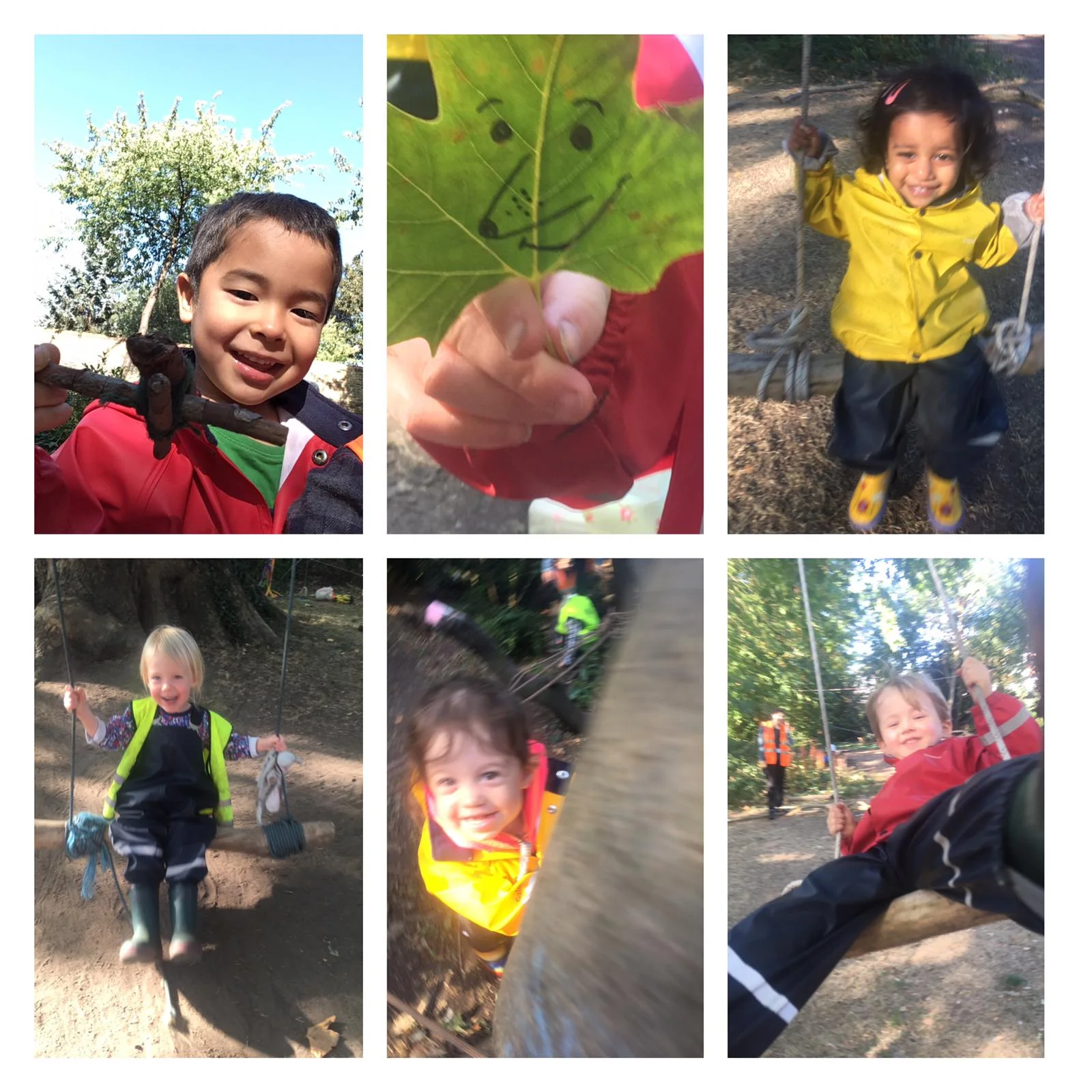 Twickenham - Autumn sun