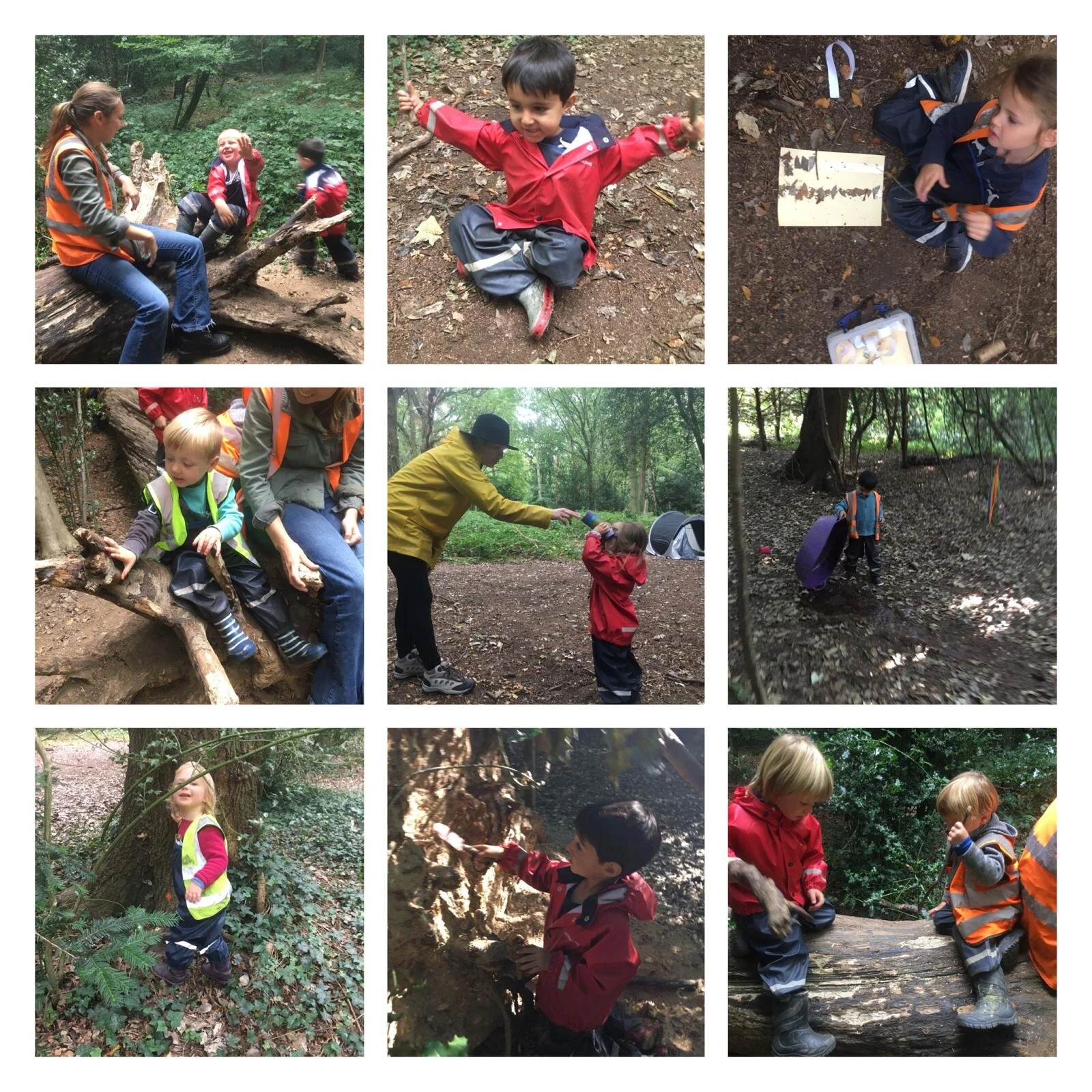 Barnes 20.09.2019 Collage2.jpeg