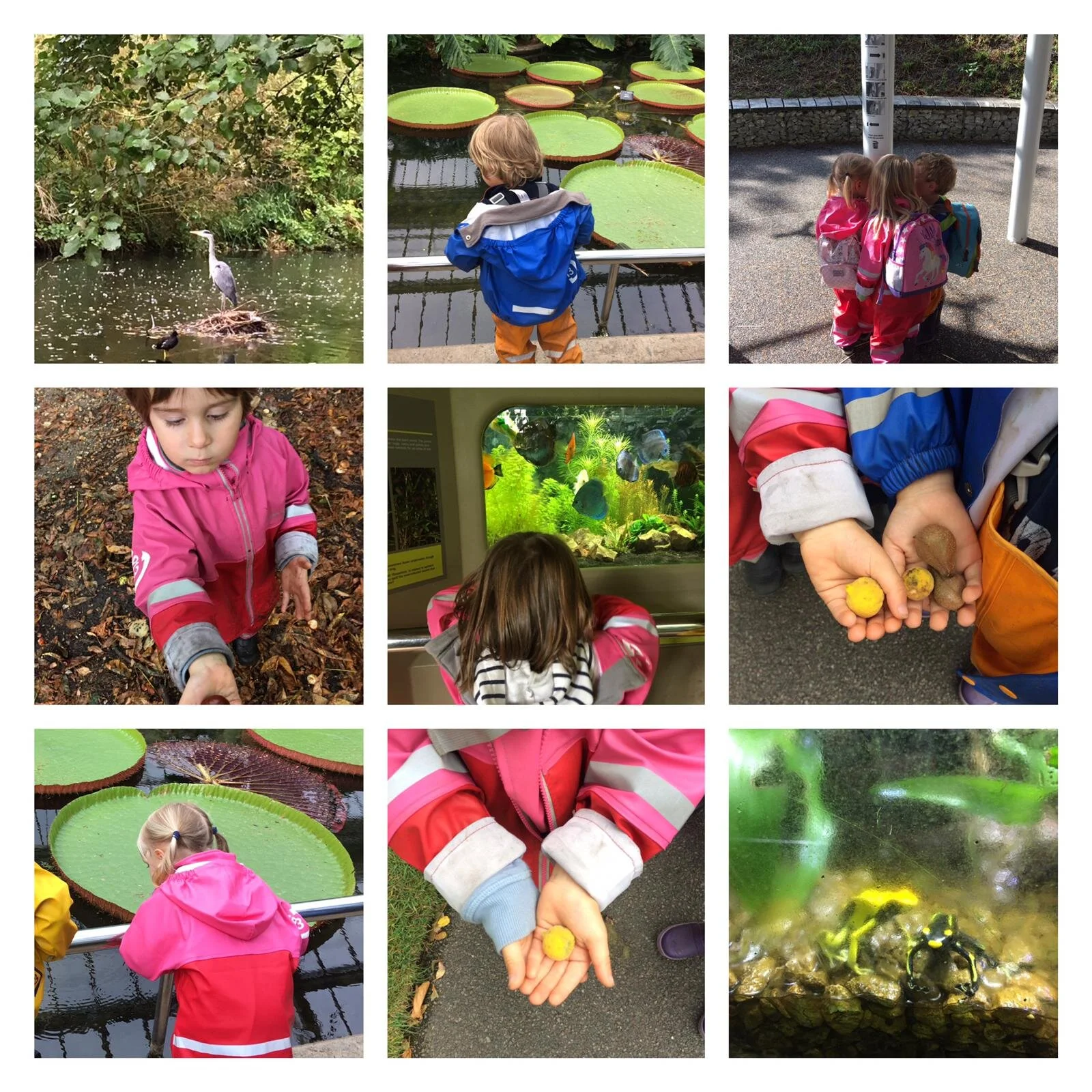 Chiswick 27.09.2019 Collage1.jpeg