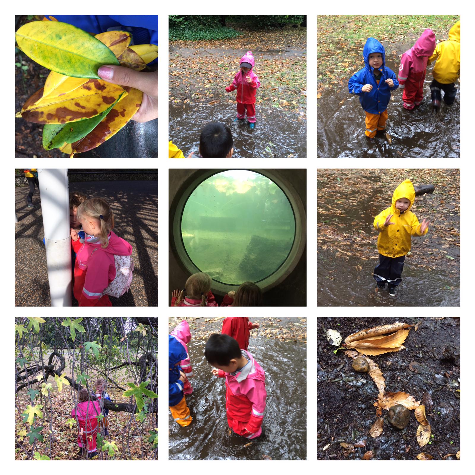 Chiswick - New generation