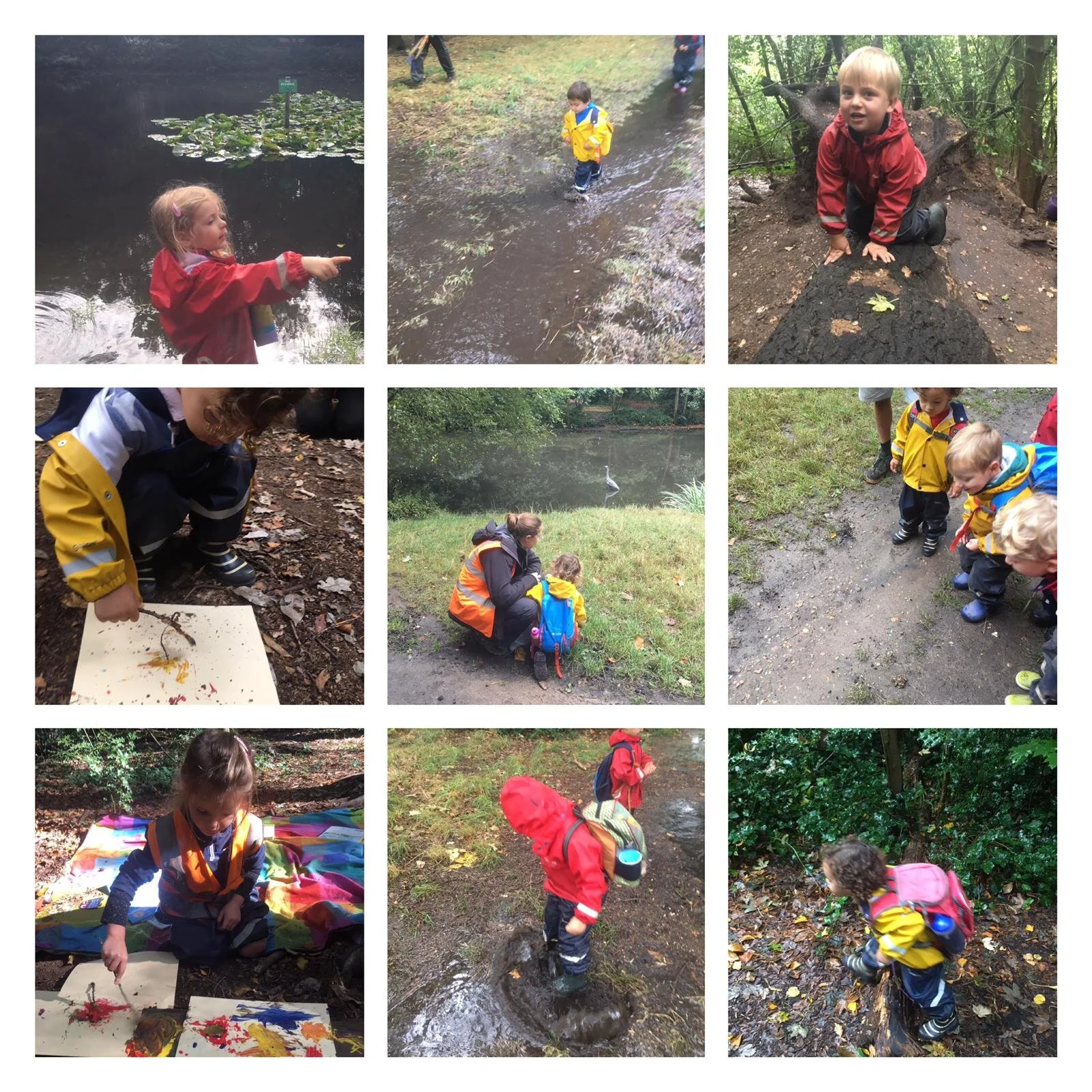Barnes 27.09.2019 Collage1.jpeg