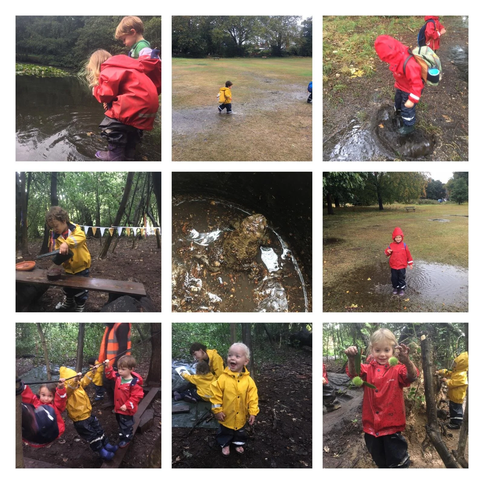 Barnes 27.09.2019 Collage2.jpeg