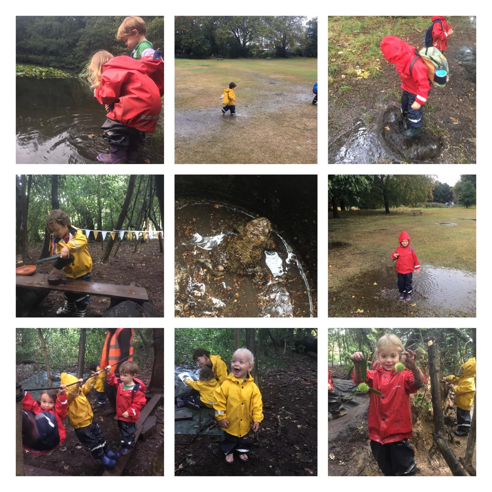 Barnes - Art installations