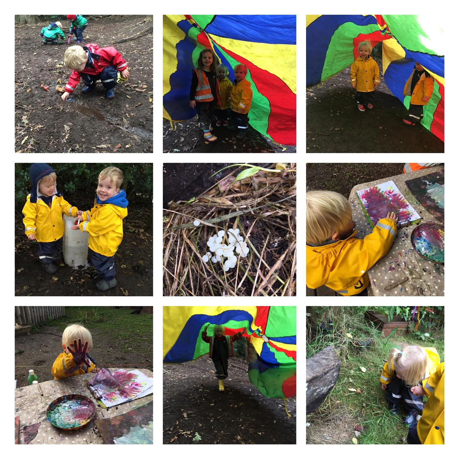 Wandsworth - Autumnal forest