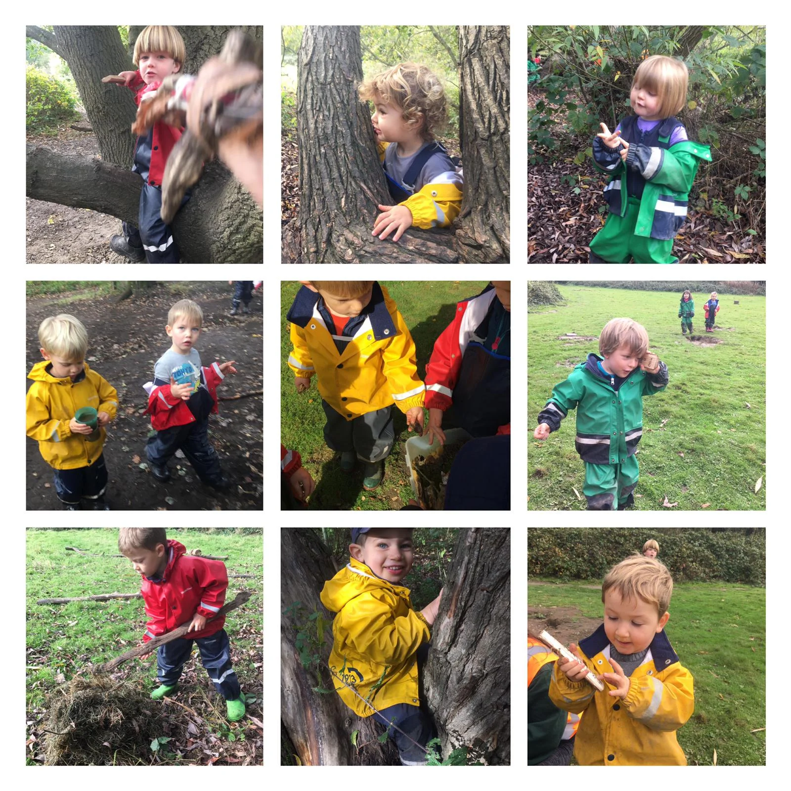 Wimbledon - Forest phones