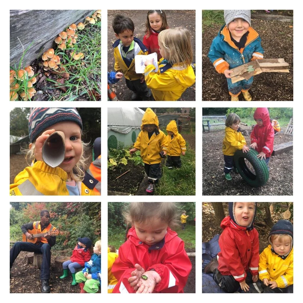 Wandsworth 11.10.2019 Collage2.jpeg