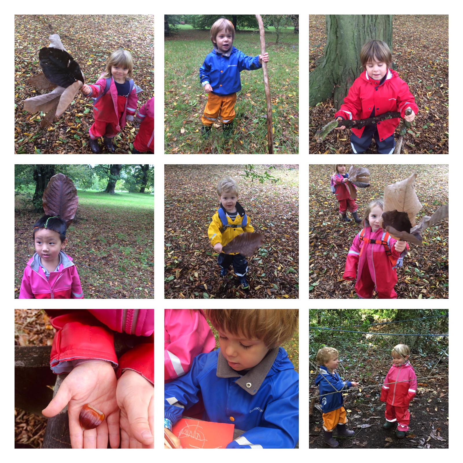 Chiswick - Giant magnolia leaf fun