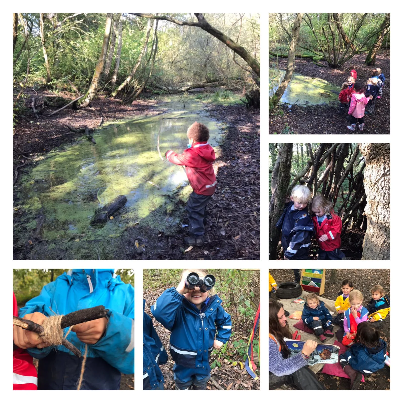 Wimbledon - Natural resources and beautiful creations