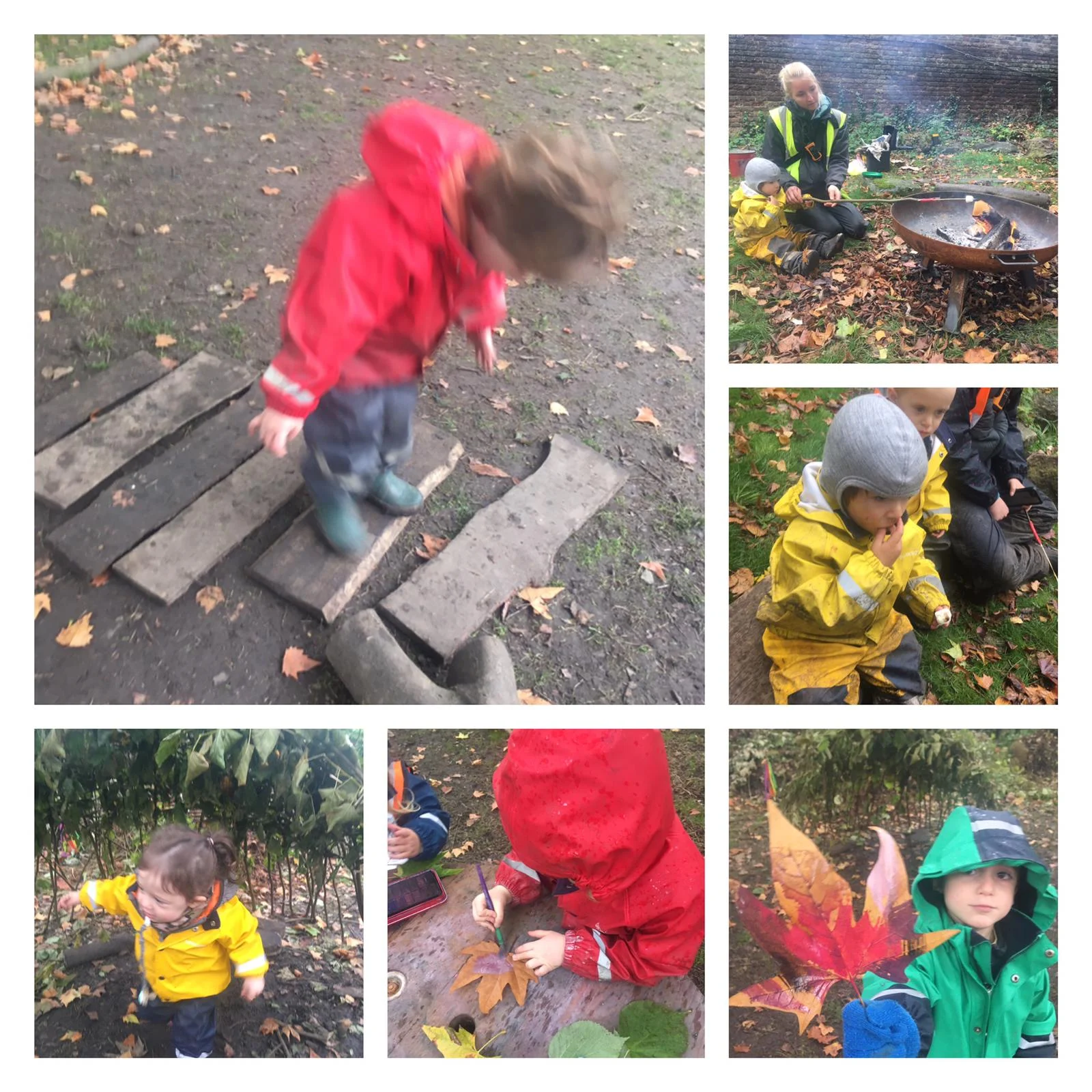 Twickenham - Marshmallows and artistic autumn projects