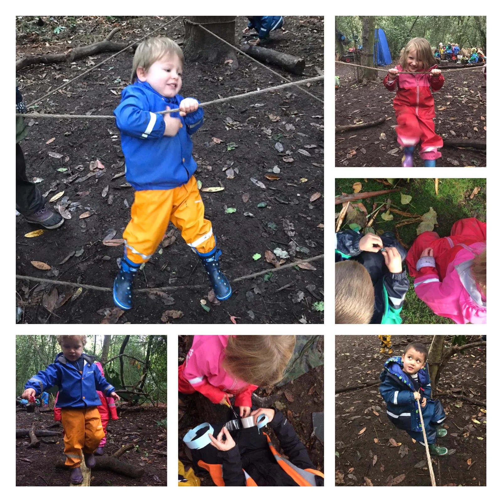 Chiswick 24.10.2019 Collage2.jpeg