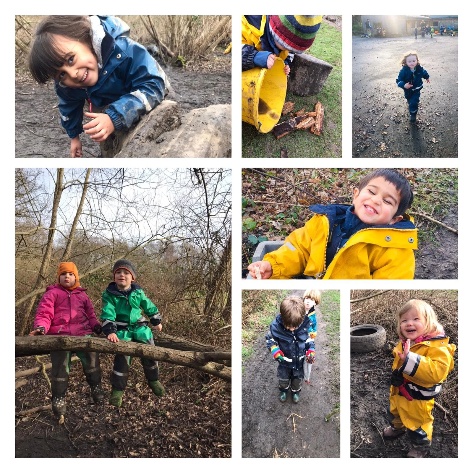 Wimbledon - Glistening Frost