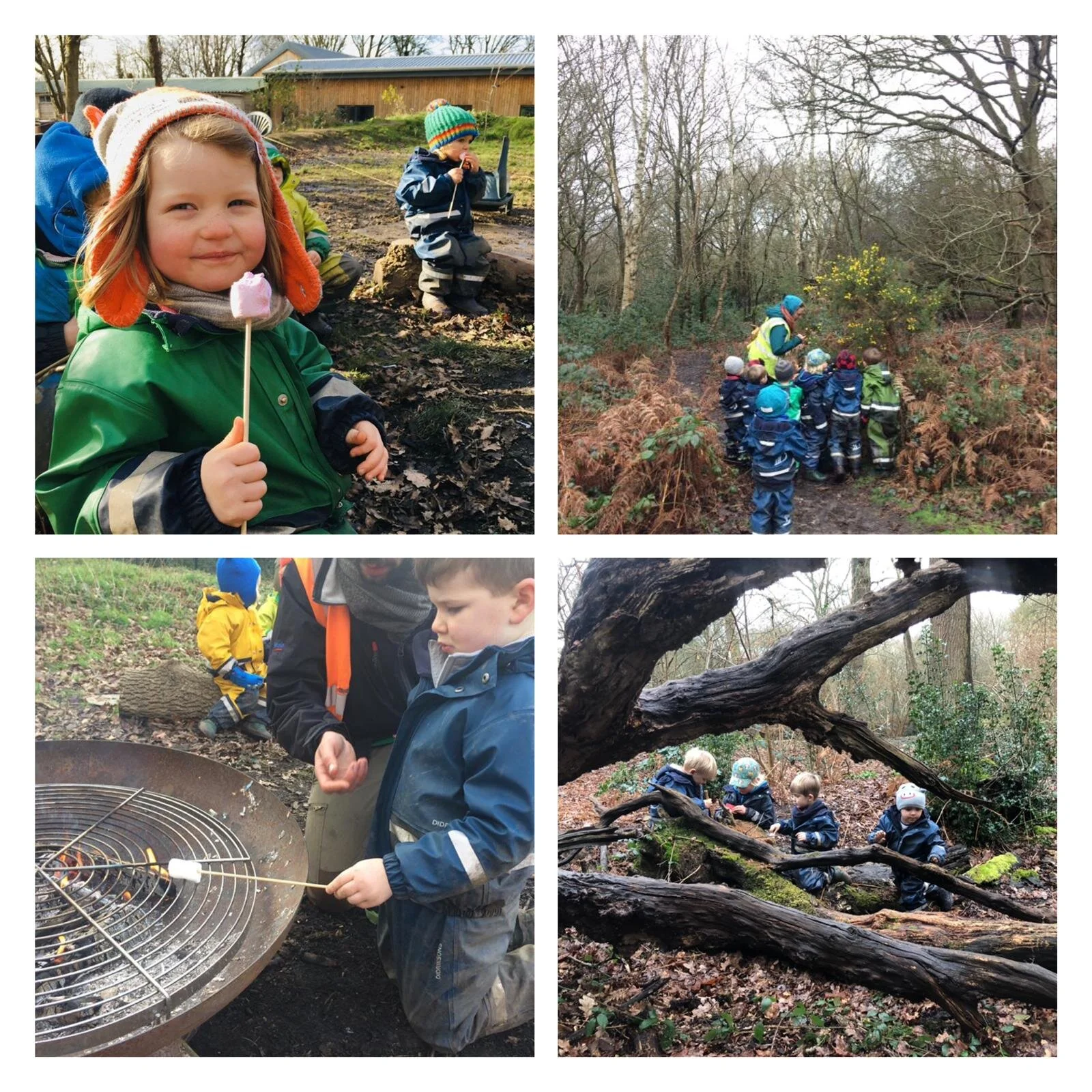 Wimbledon - Chasing shadows