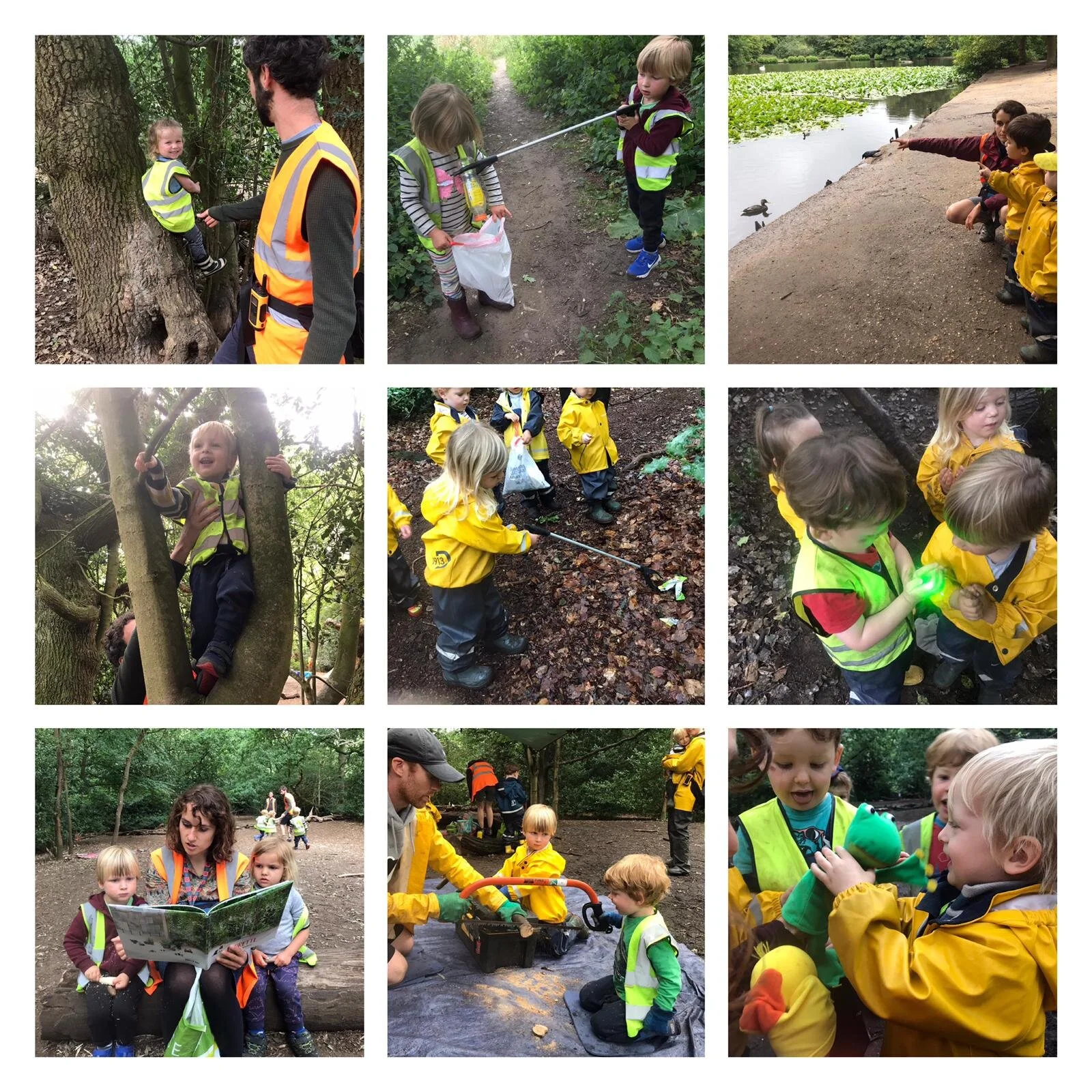 Wandsworth - Exploring the Heathland!