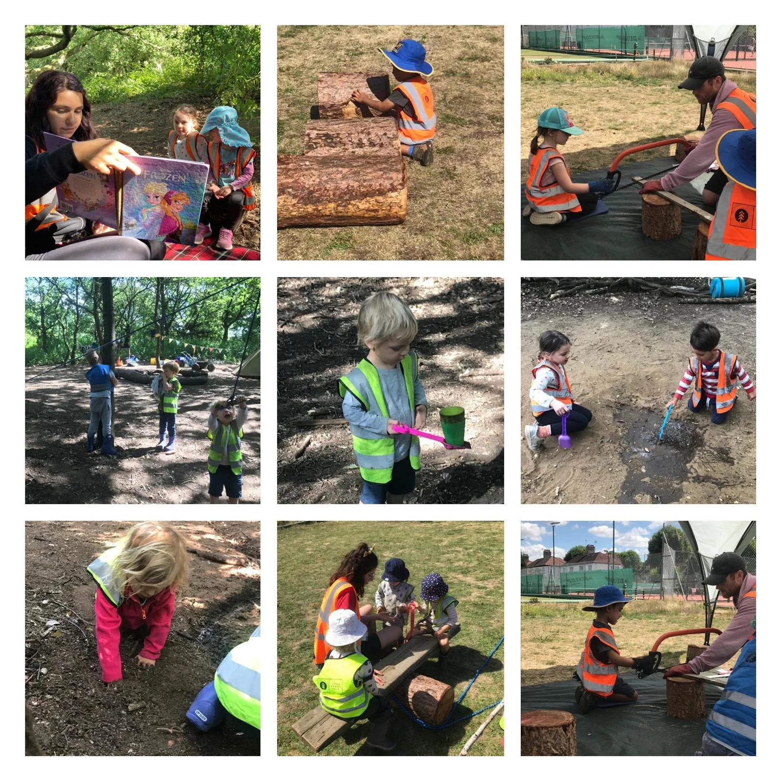 Wandsworth - The silliest tree in the woods!