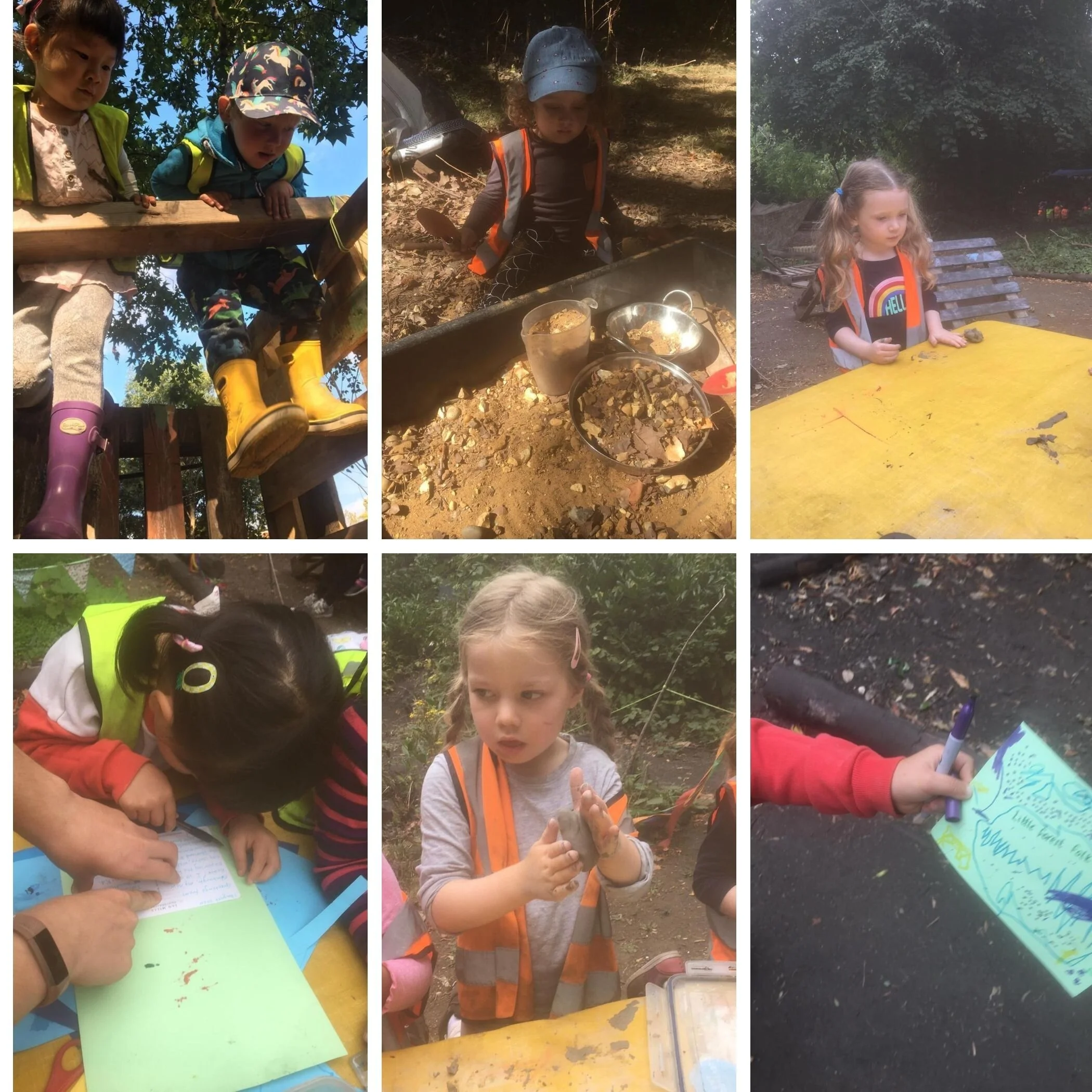 Twickenham - Life Cycles!