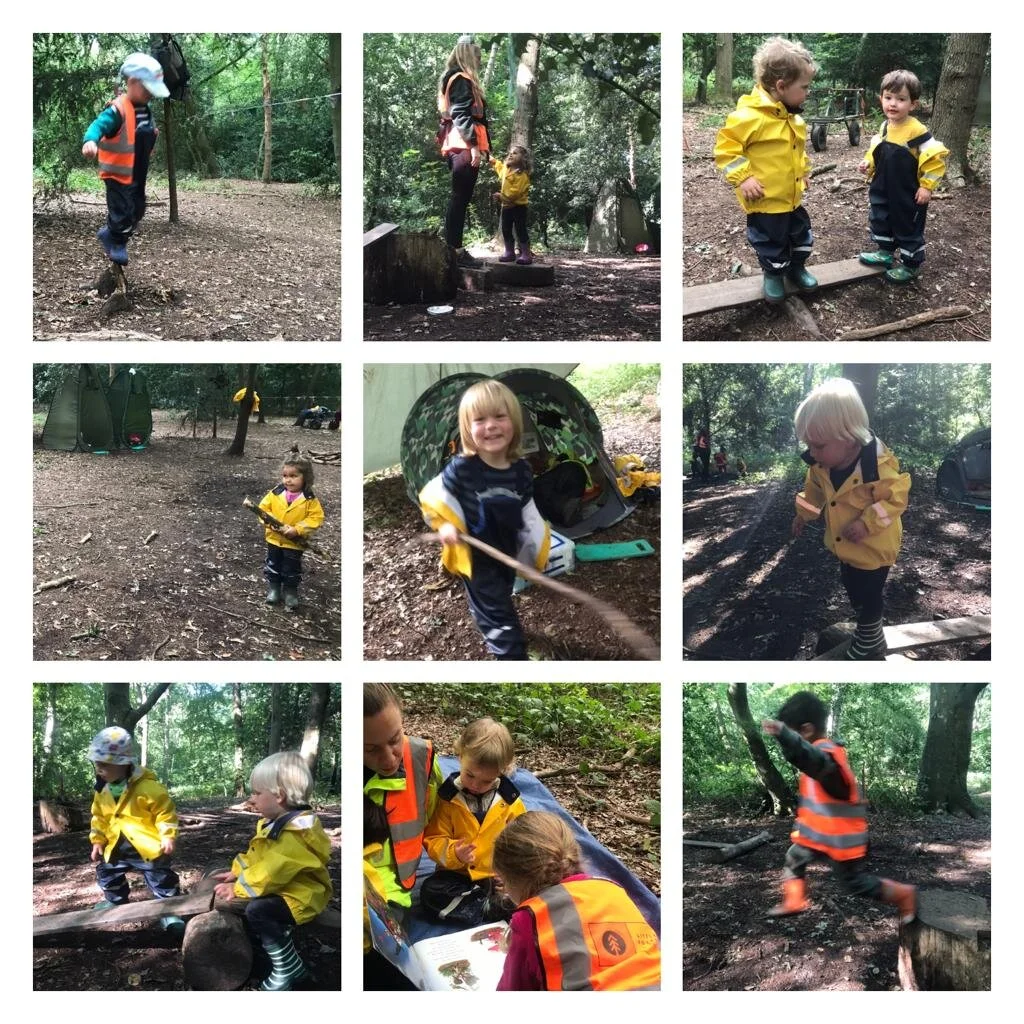 Putney Heath - The start of September