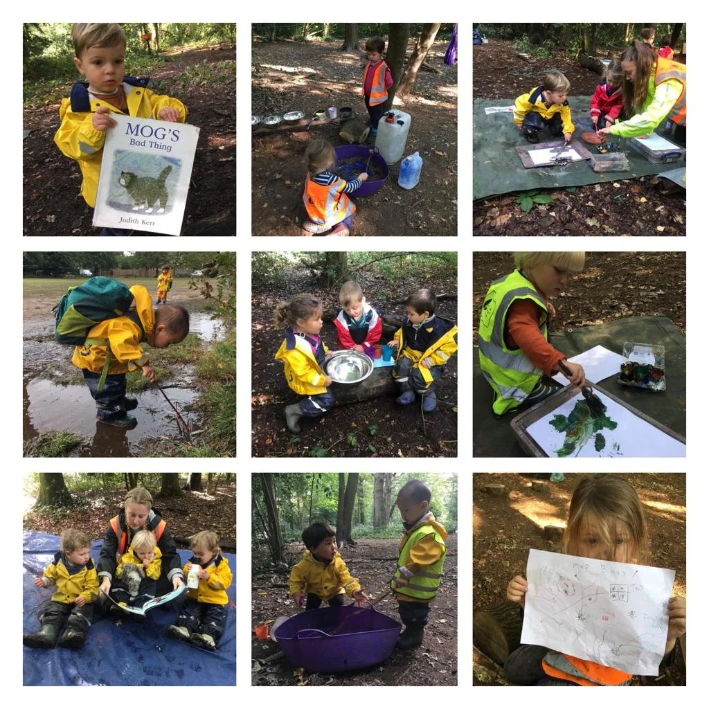 Putney Heath - Environmental changes
