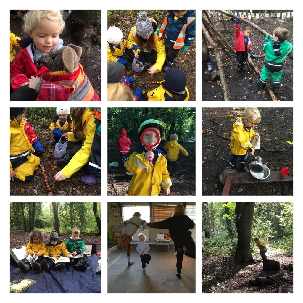 Putney Heath - Autumn treasures