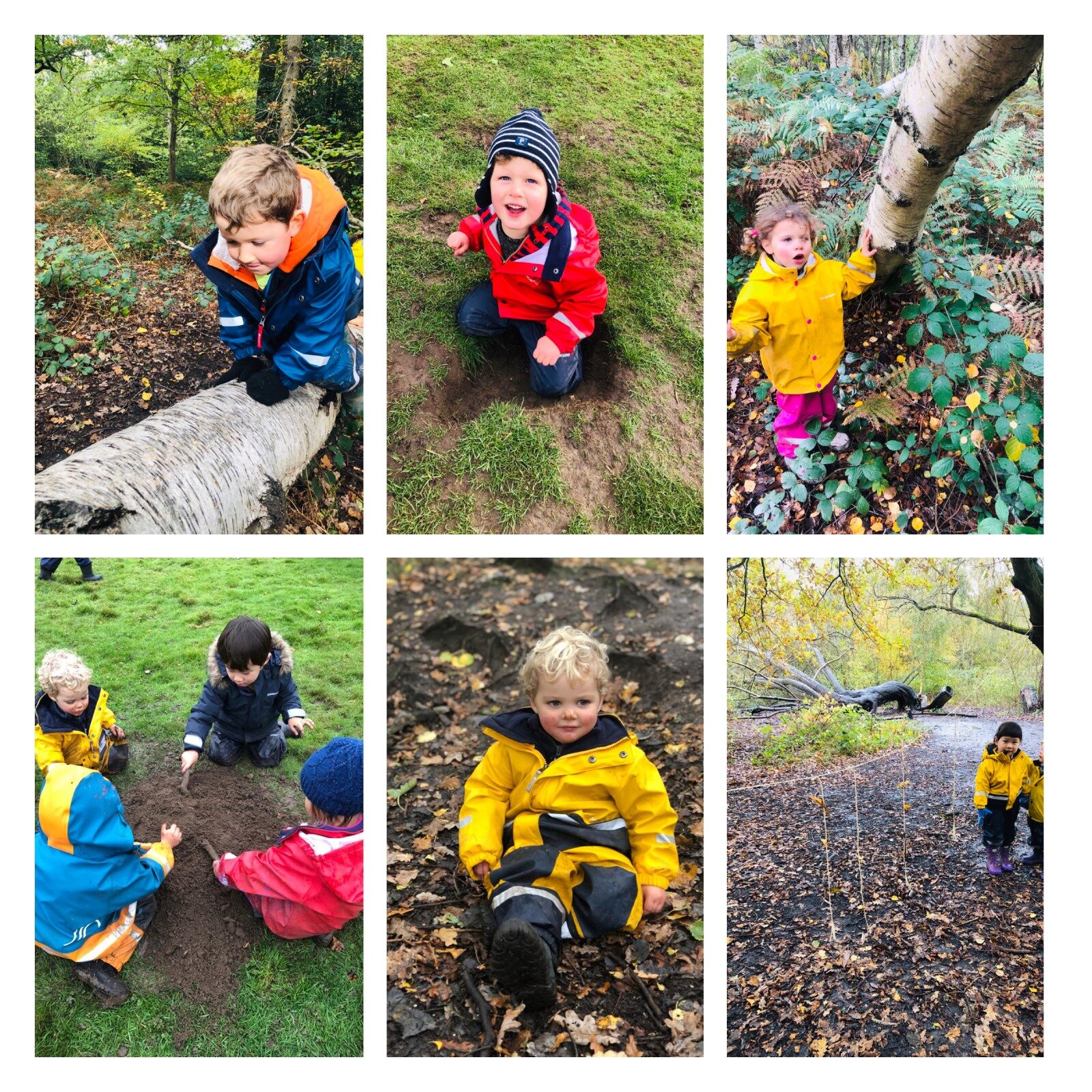 Wimbledon - Nature is the best canvas!