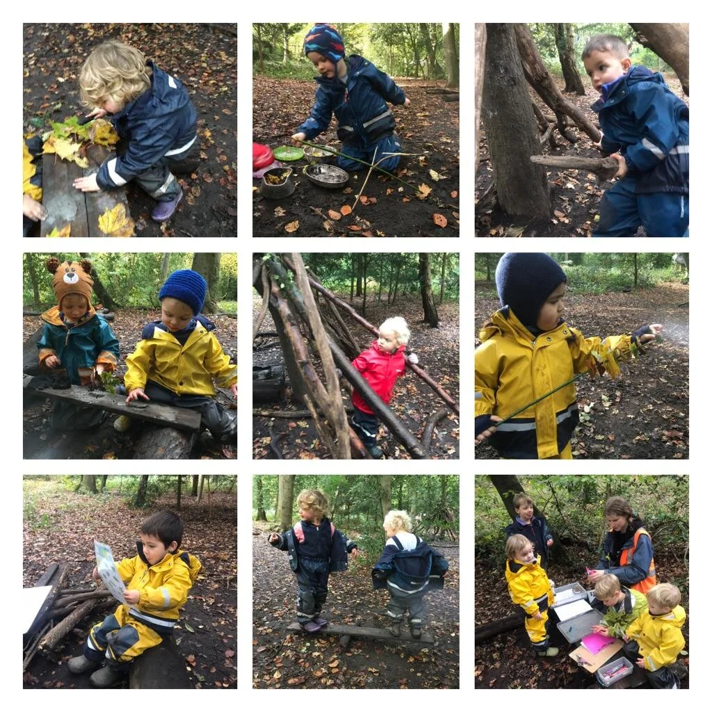 Putney Heath - leafy wonderland