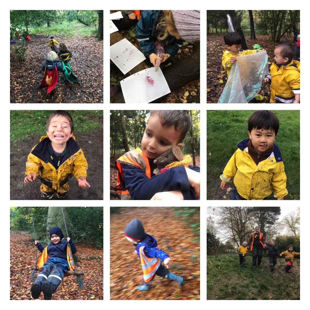 Putney Heath - firework painting