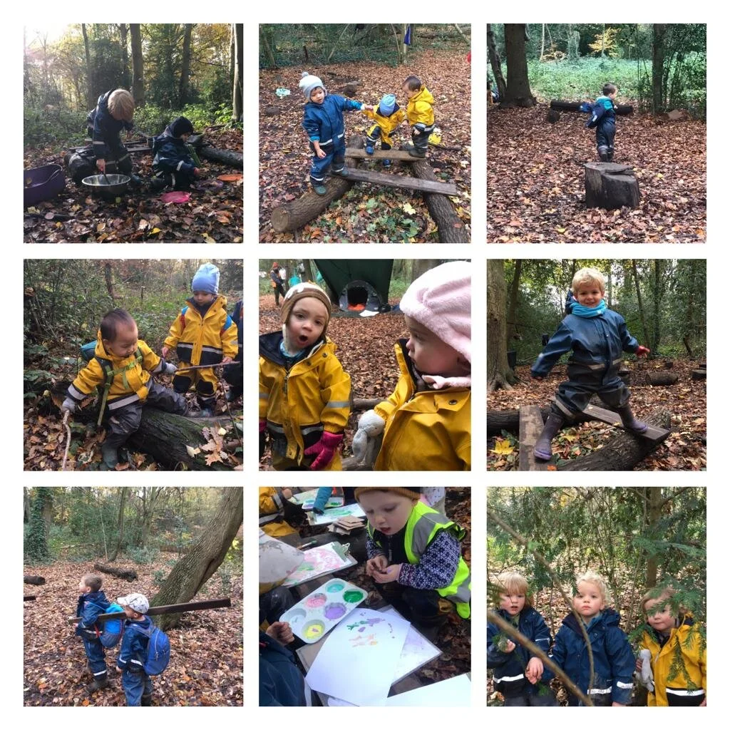 Putney Heath - Leaves, Leaves, and more leaves!