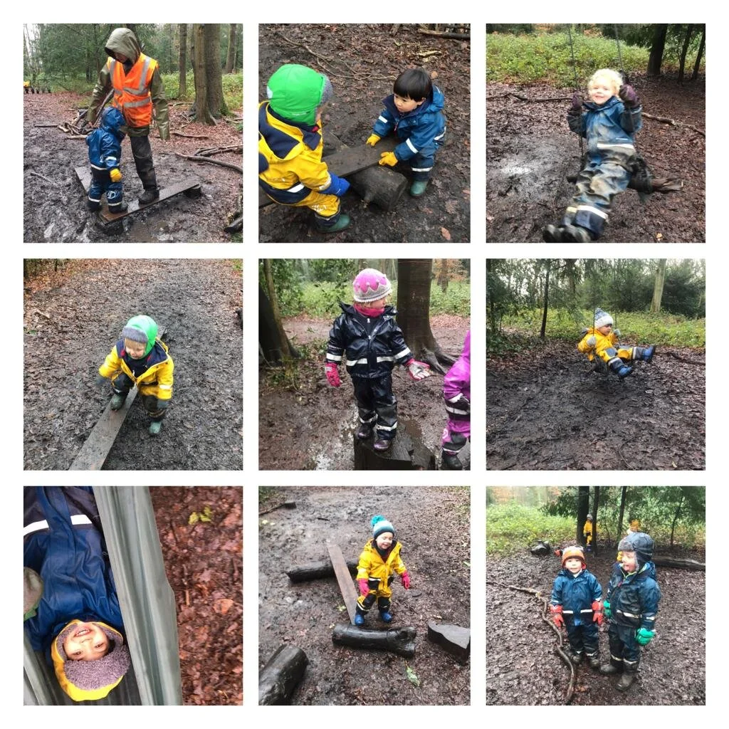 Putney Heath - Water and Mud