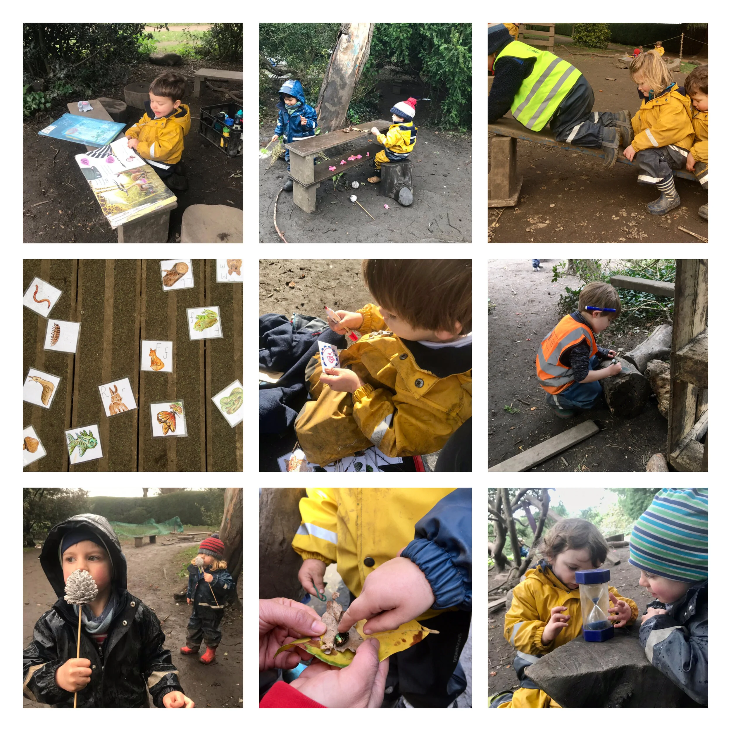 Fulham - Soaking up the sun!