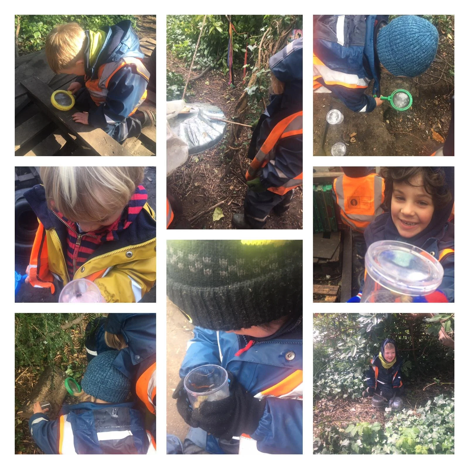 Twickenham - creepy crawlies