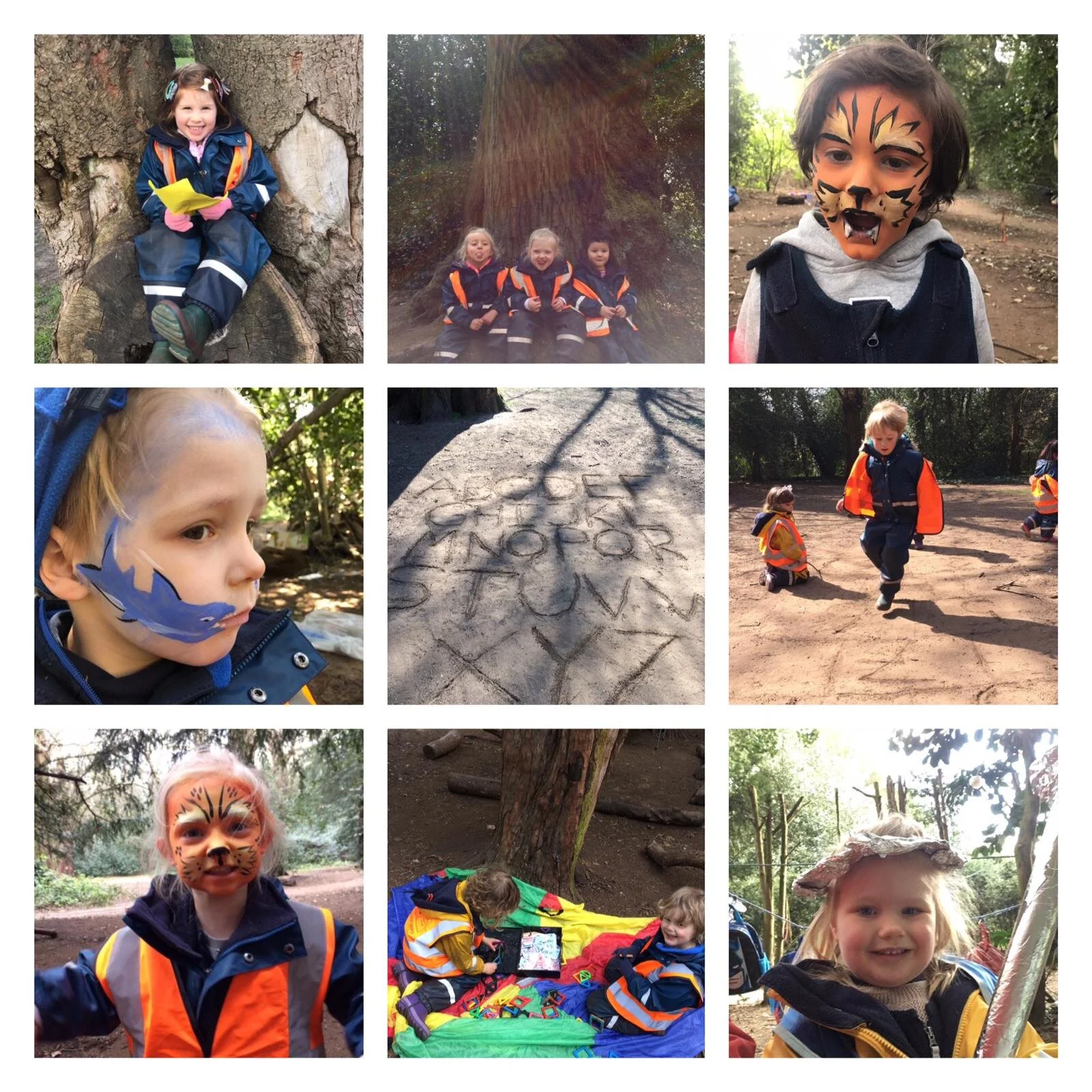 Chiswick -  Amazon adventures and circus acts 