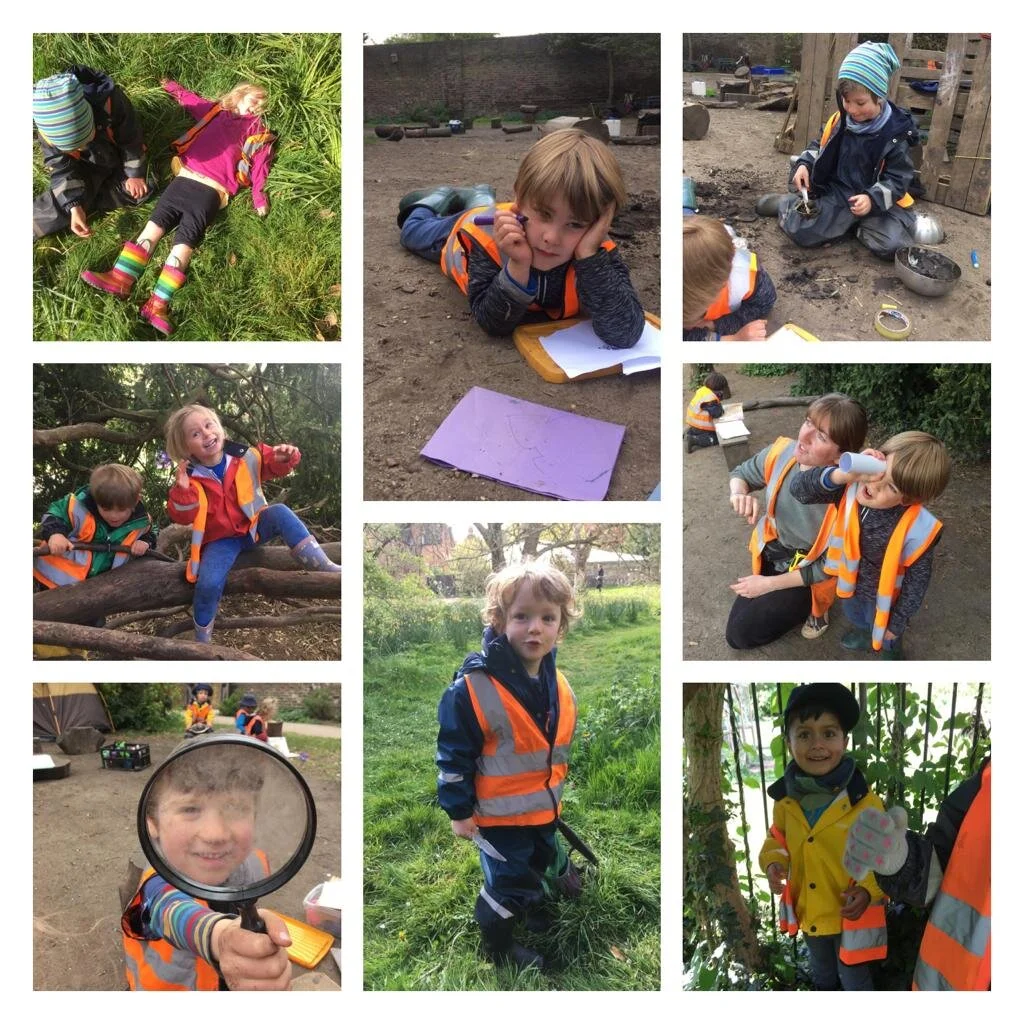 Fulham - Into the wild