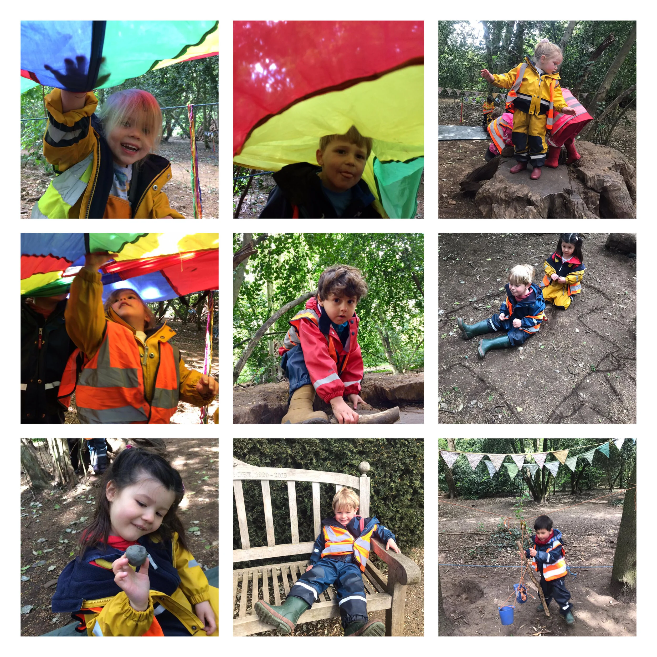 Chiswick -  Duckling Spotting