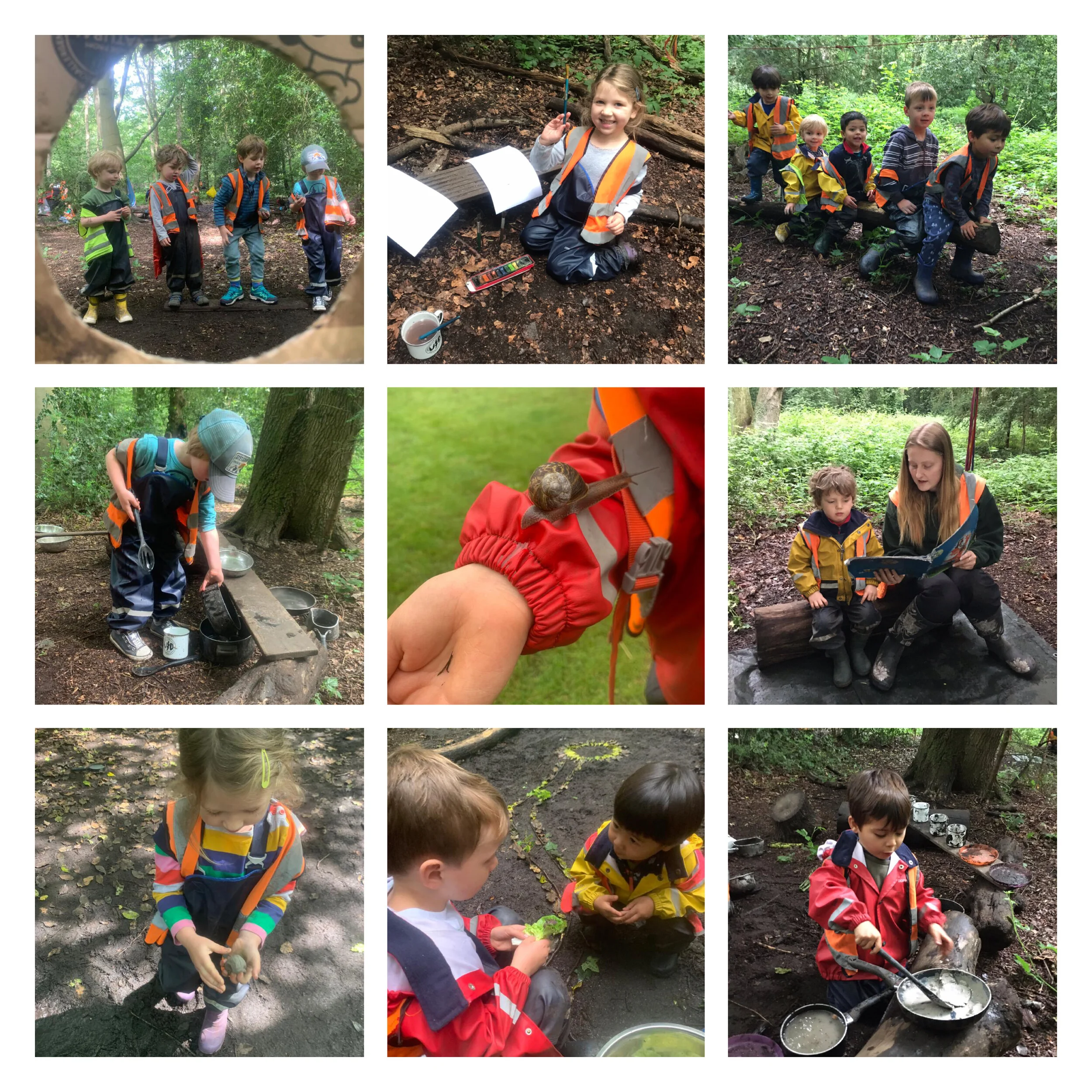 Putney Heath - Gastropod Greatness 