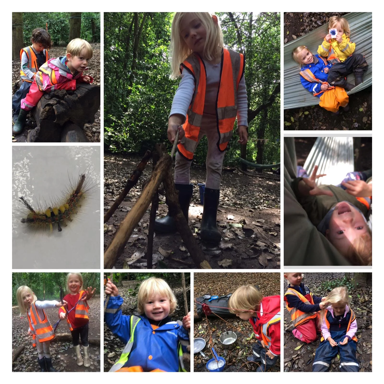 Chiswick -  Educators don’t live in the forest?