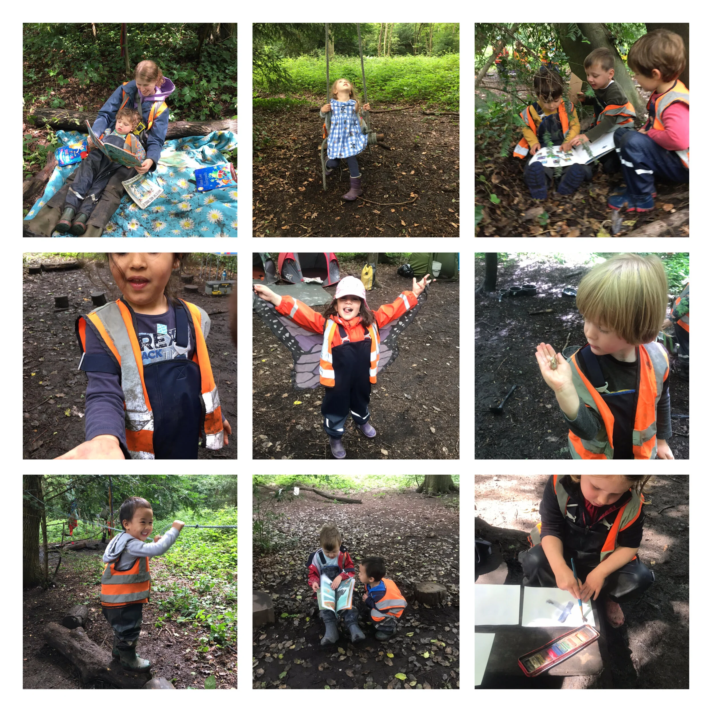 Putney Heath - Feathers, Bugs and Brilliance