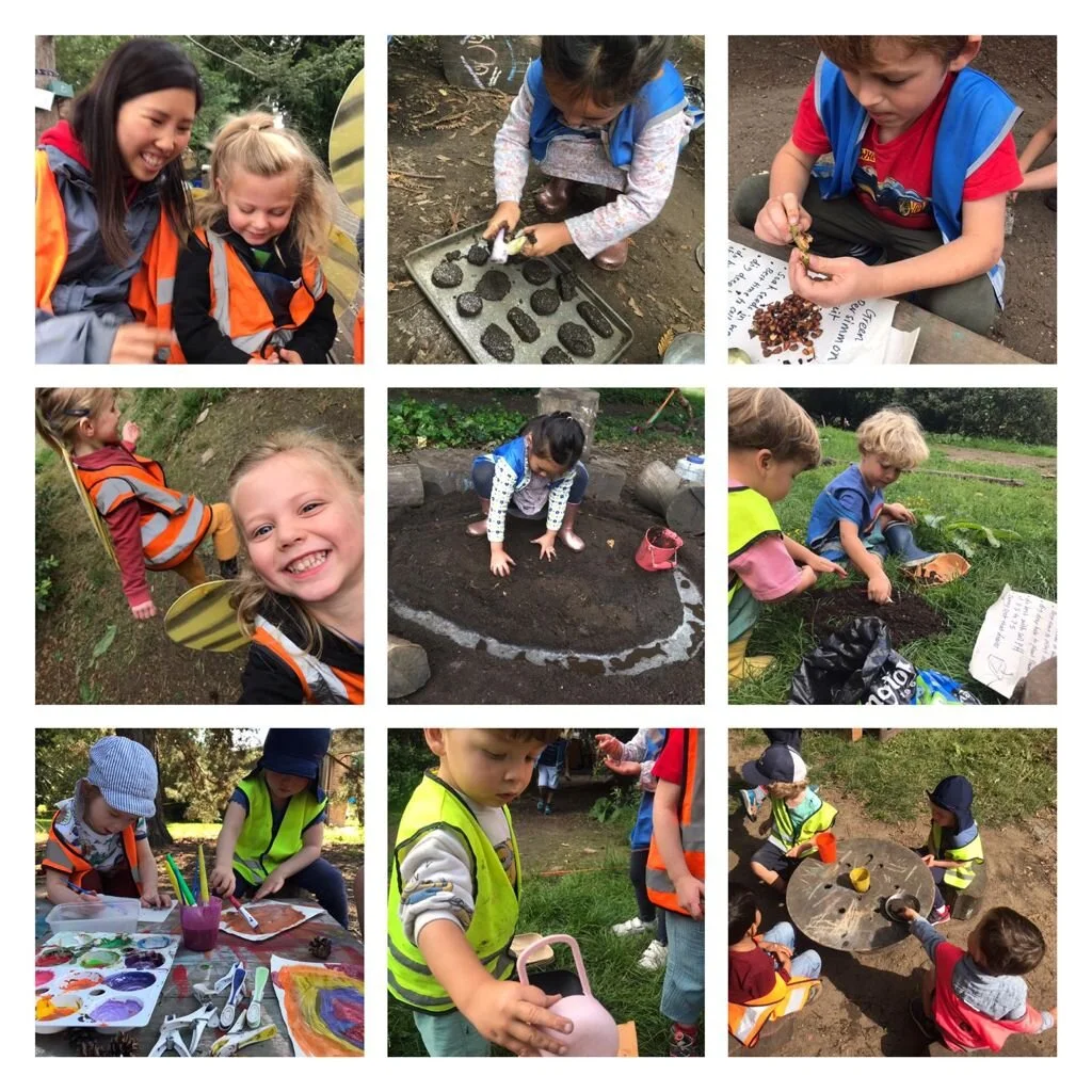 Fulham - Sunshine, sprinkles and seeds!