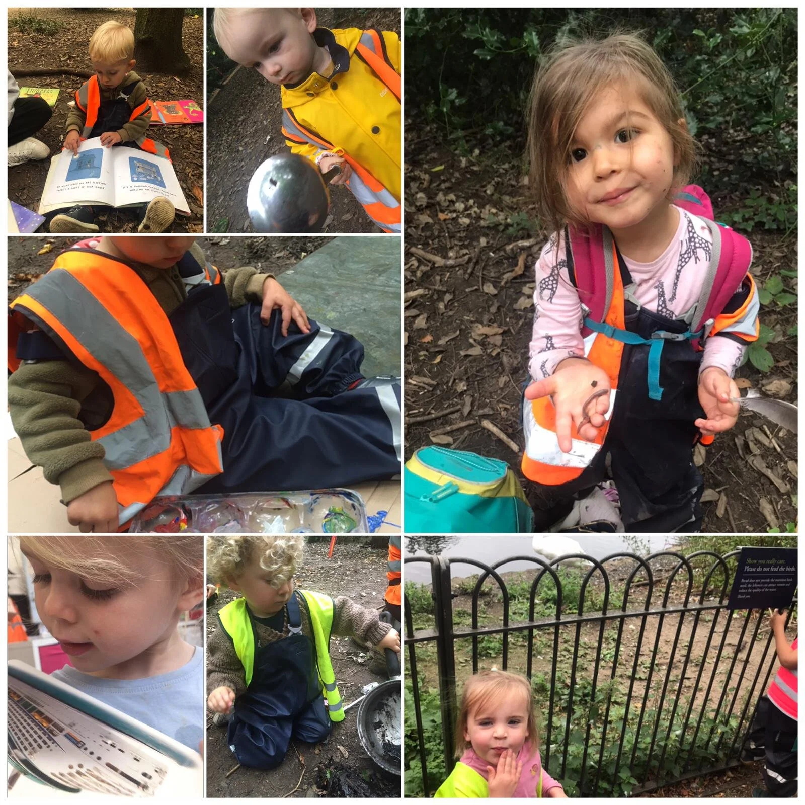 Chiswick - Leaf, little leaf