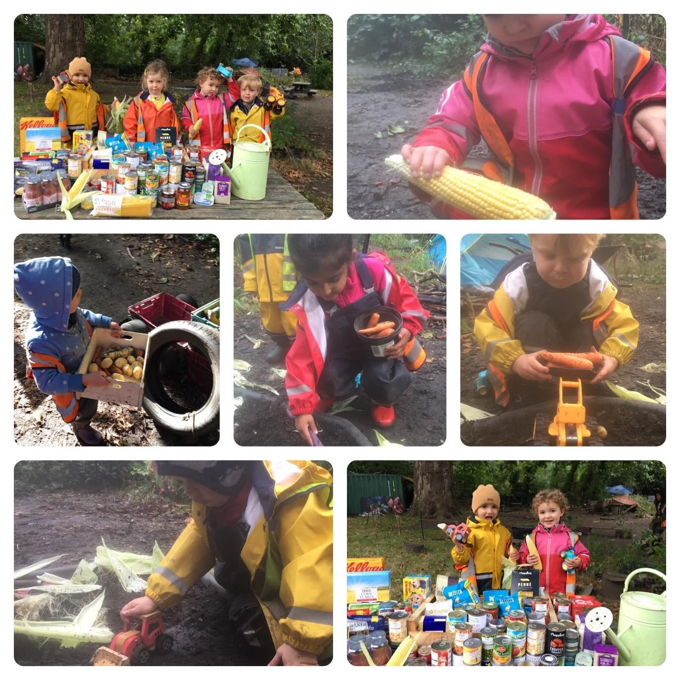 Twickenham - Crunchy leaves