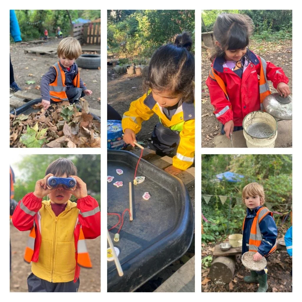 Twickenham - Autumn leaf hunt