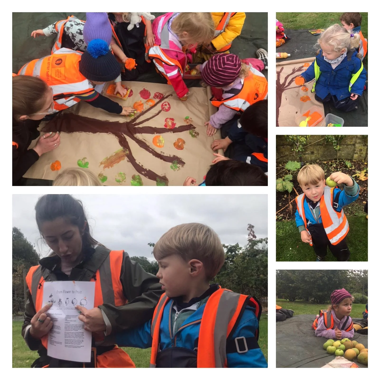 Chiswick - An apple a day...