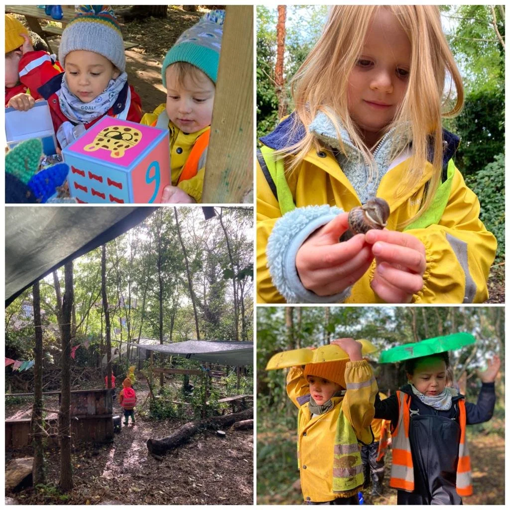 Morden - Our Golden Forest