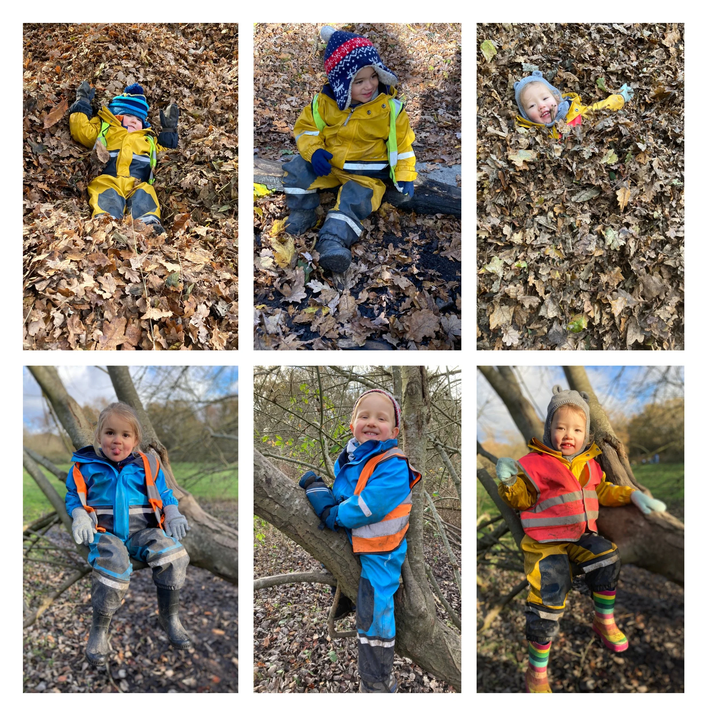 Wimbledon - Christmas trees and bear hunts