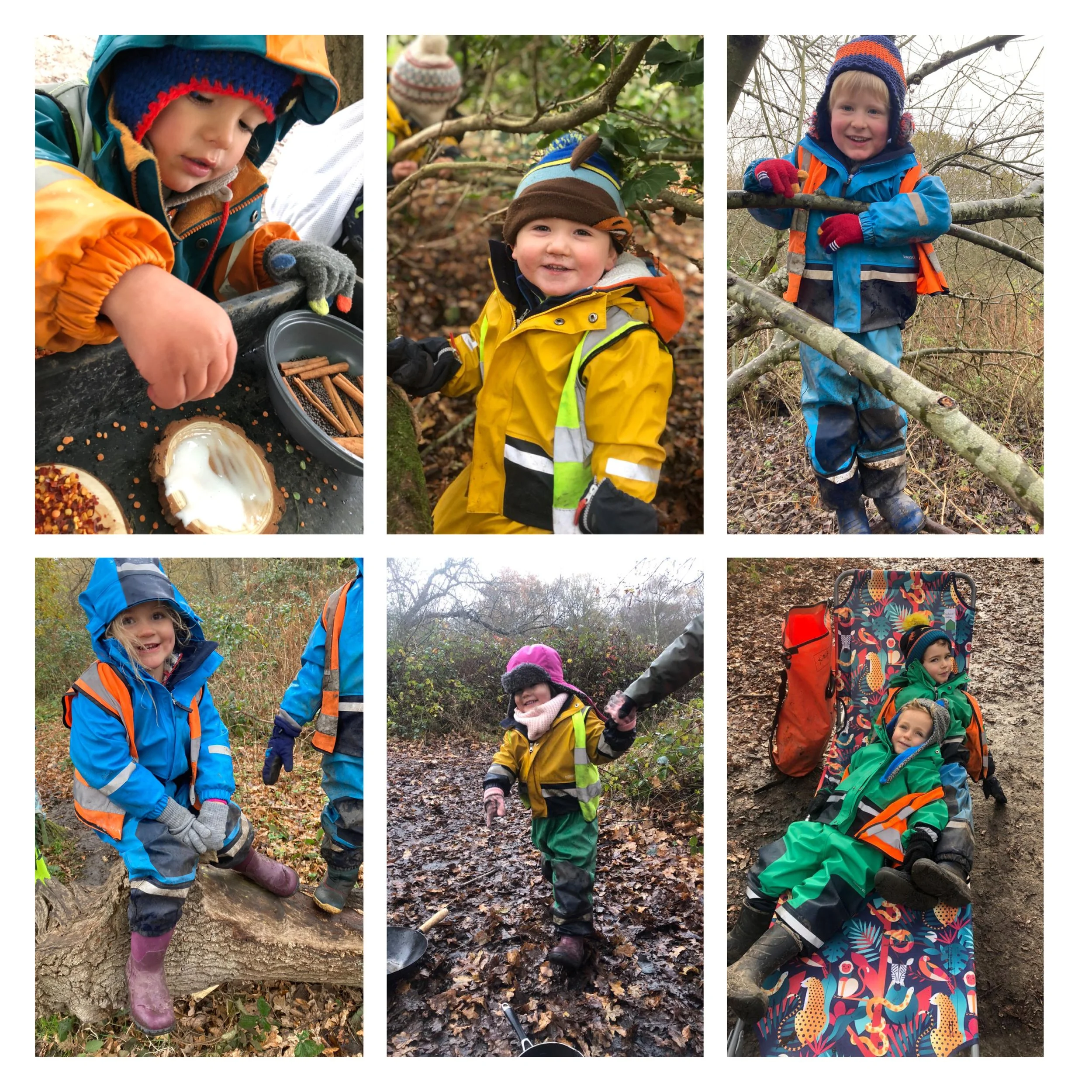 Wimbledon - Buzzards and Herons