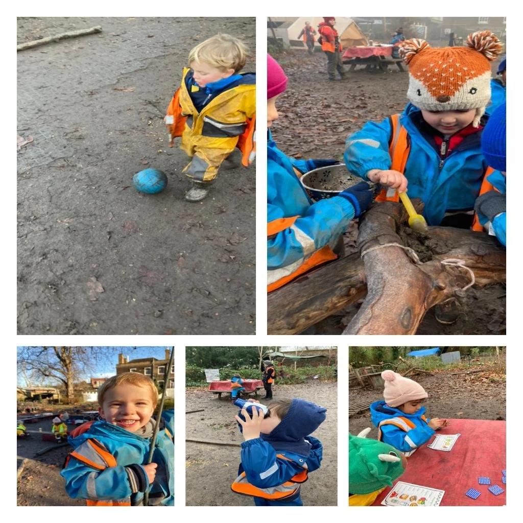 Twickenham - common British birds