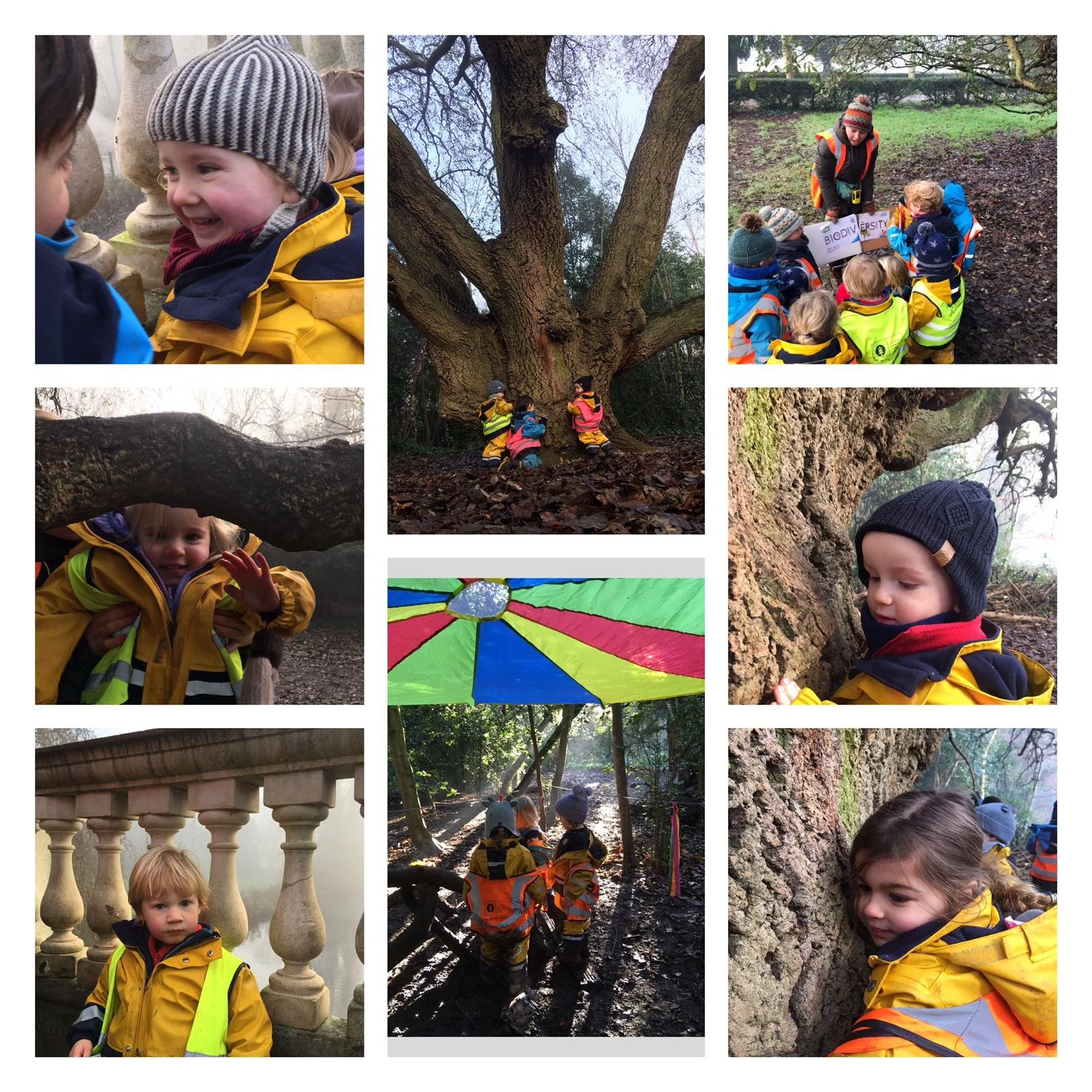 Chiswick - New year, new us