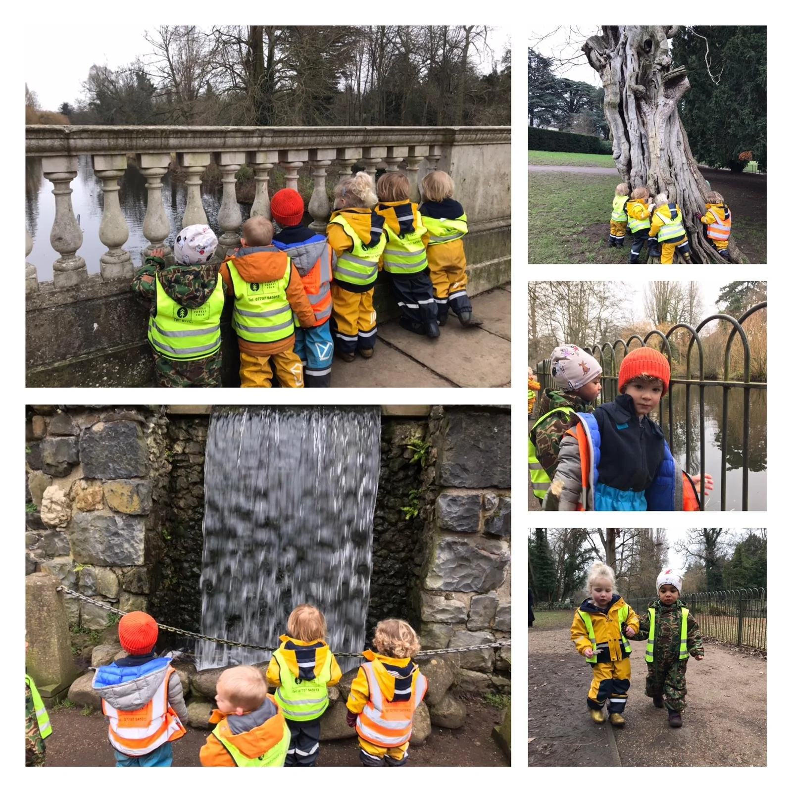 Chiswick - Travelling koalas and flying squirrels