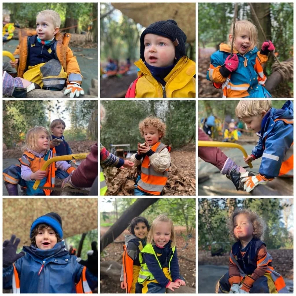 Chiswick - Gratitude tree