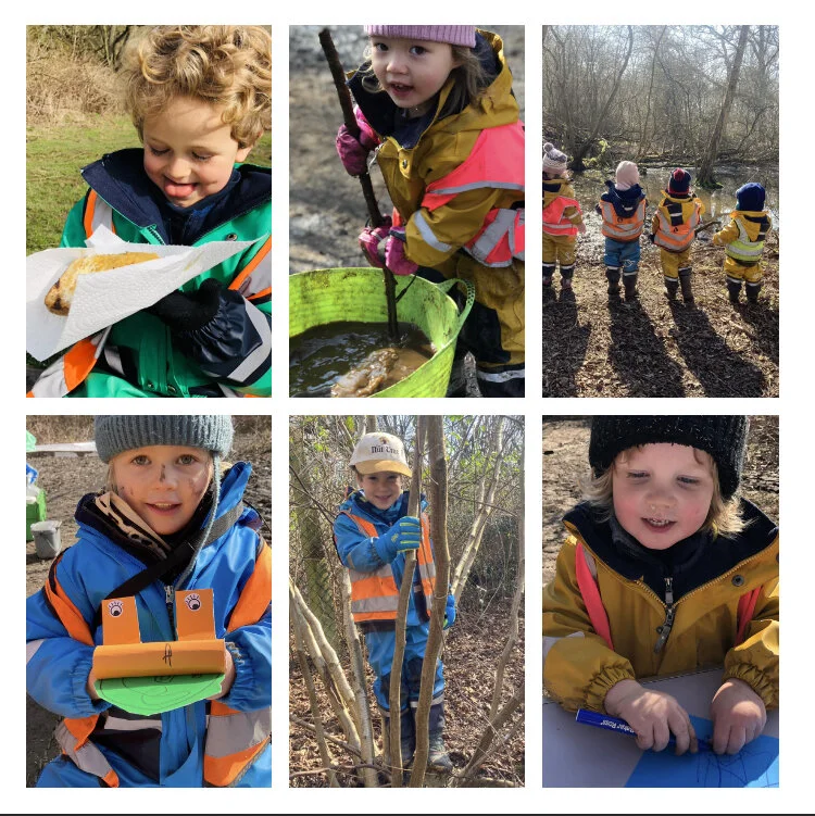 Wimbledon - Bees, Bunnies and Buzzards!