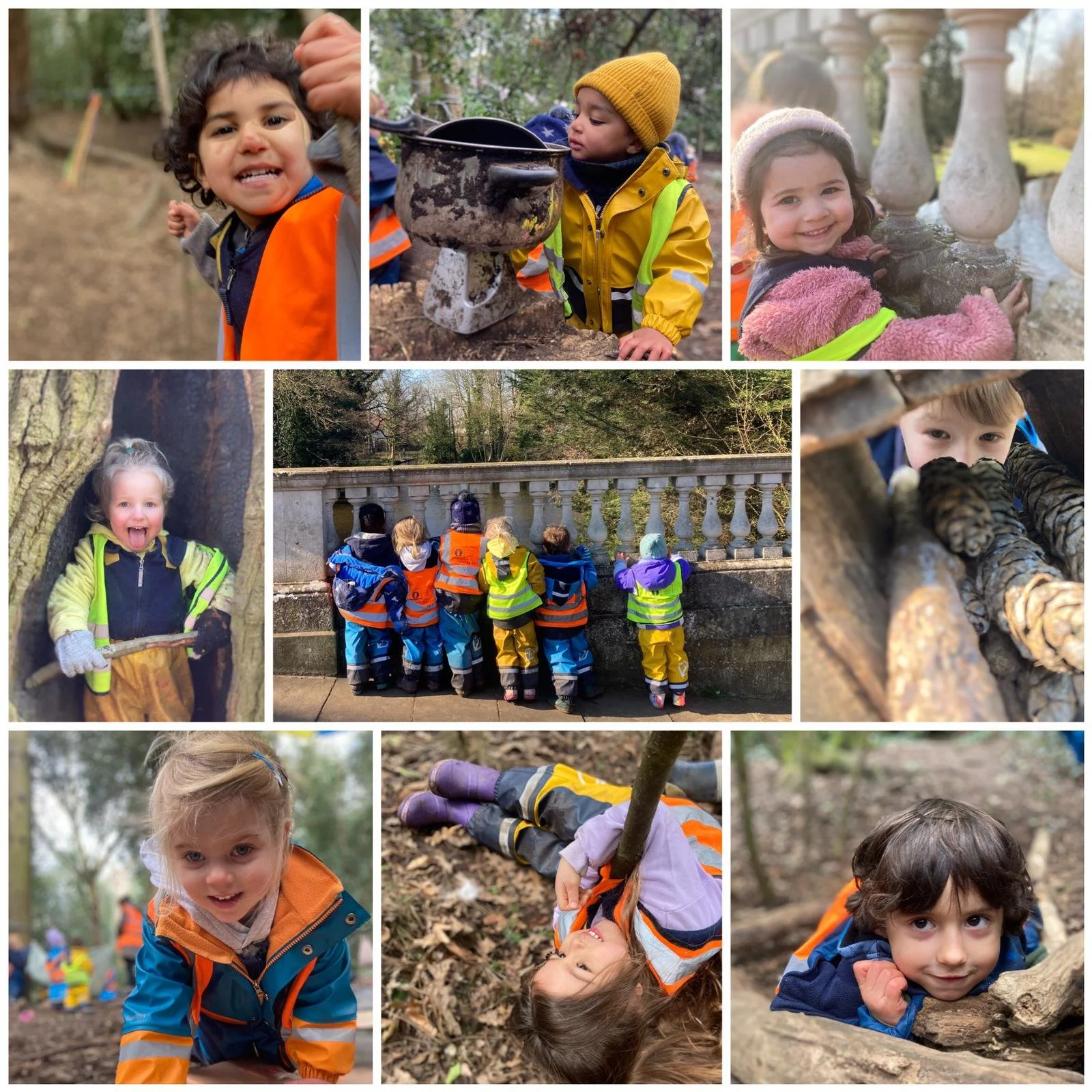 Chiswick - Parakeet Paradise