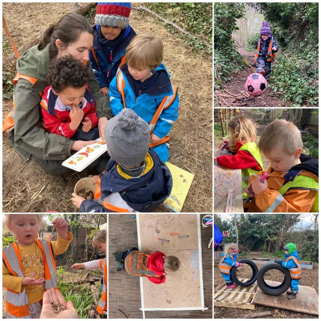 Morden - Forest Artwork! 